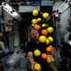 Illustration for article titled 51 Favourite Photos from Astronaut Scott Kellys First Six Months in Space